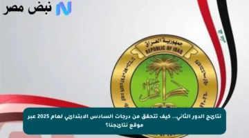 نتائج الدور الثاني.. كيف تتحقق من درجات السادس الابتدائي لعام 2025 عبر موقع نتائجنا؟